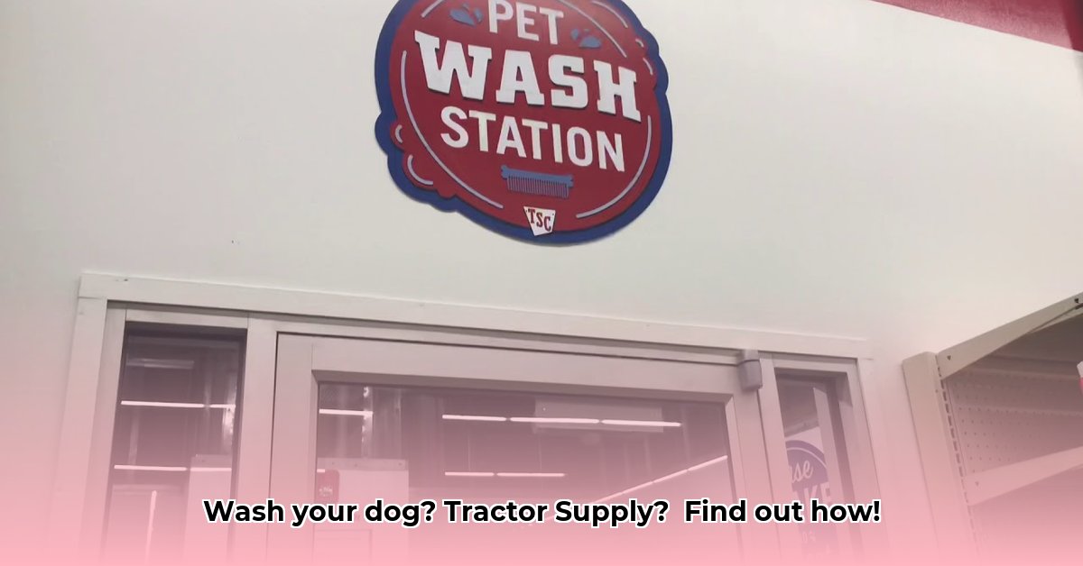 can-you-wash-your-dog-at-tractor-supply